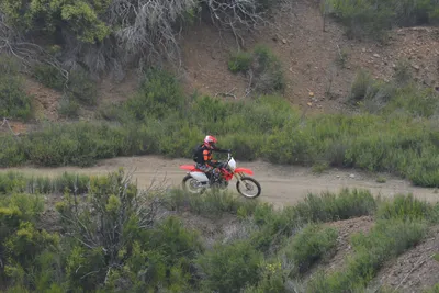 DSC_6886 (Large).JPG